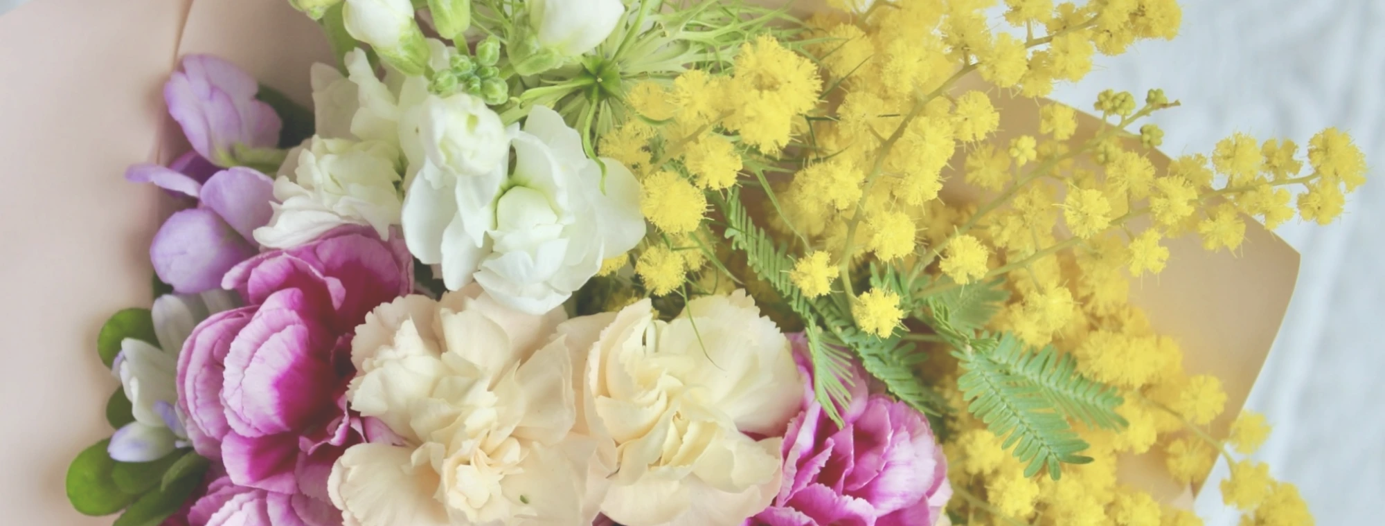 アカシヤレディースクリニック